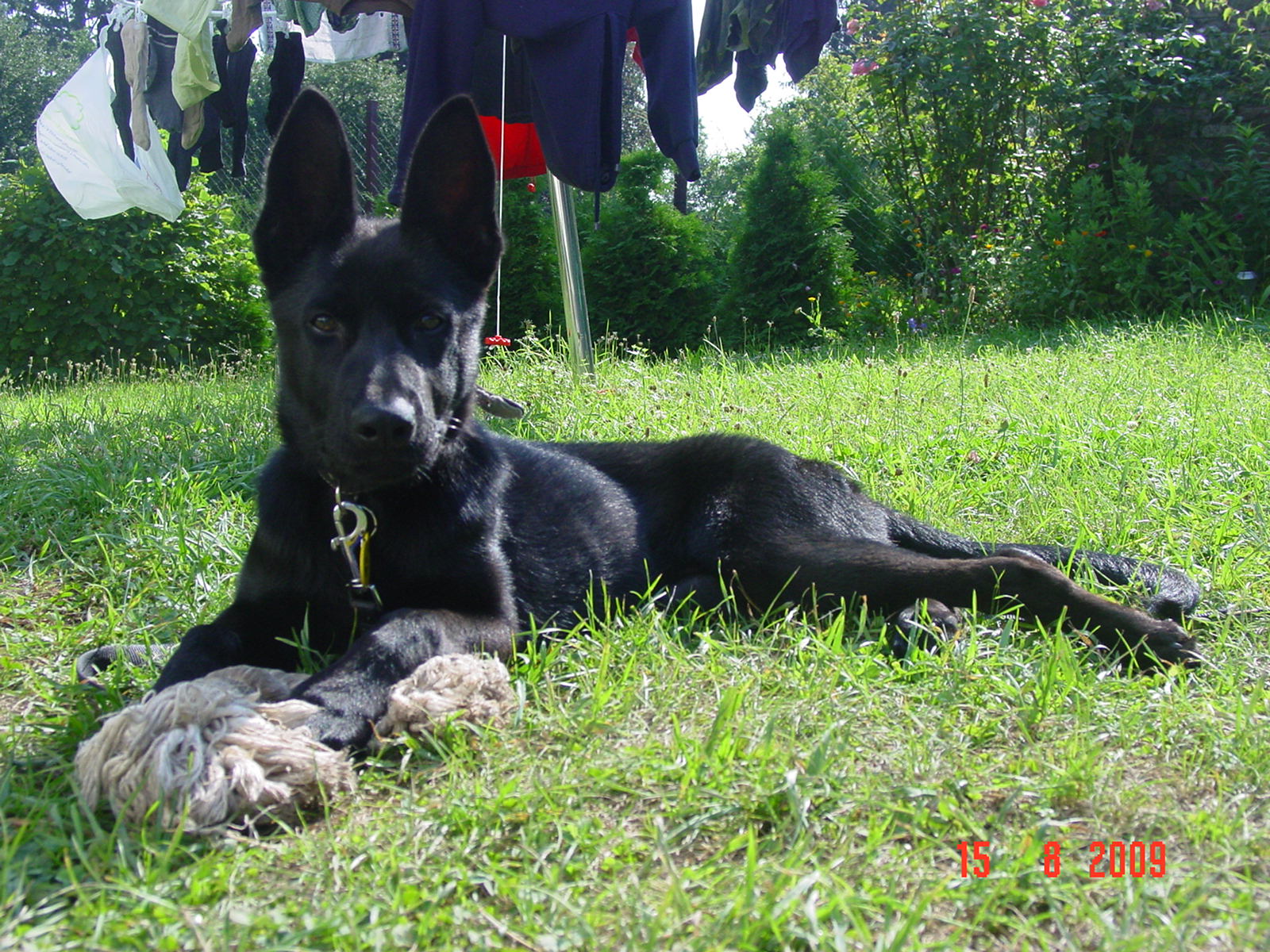 DSC07515.JPG