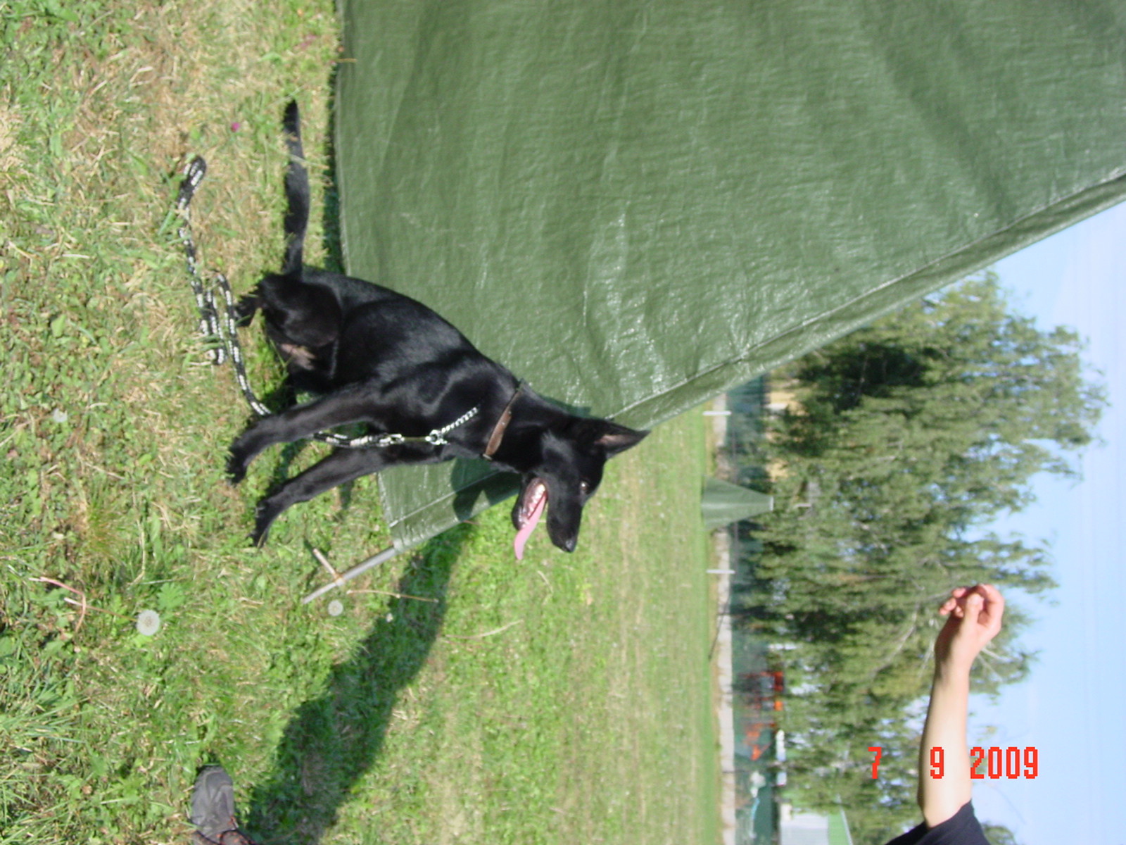 DSC07607.JPG