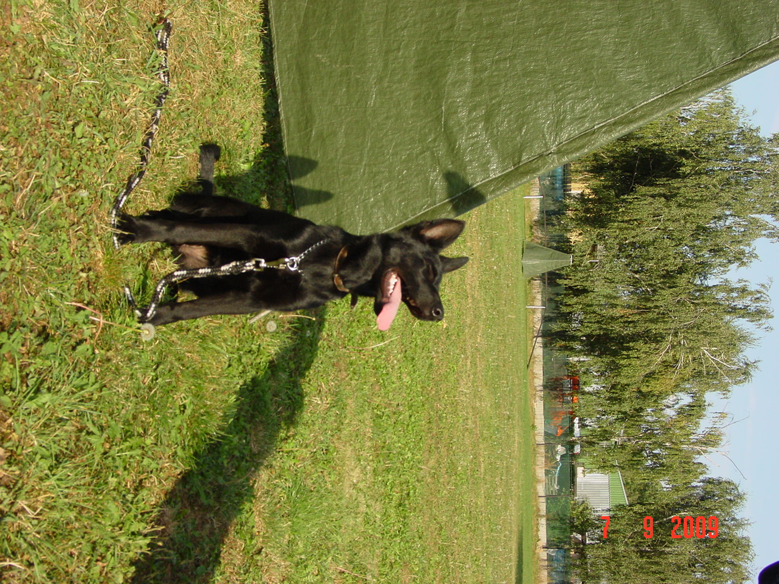 DSC07609.JPG