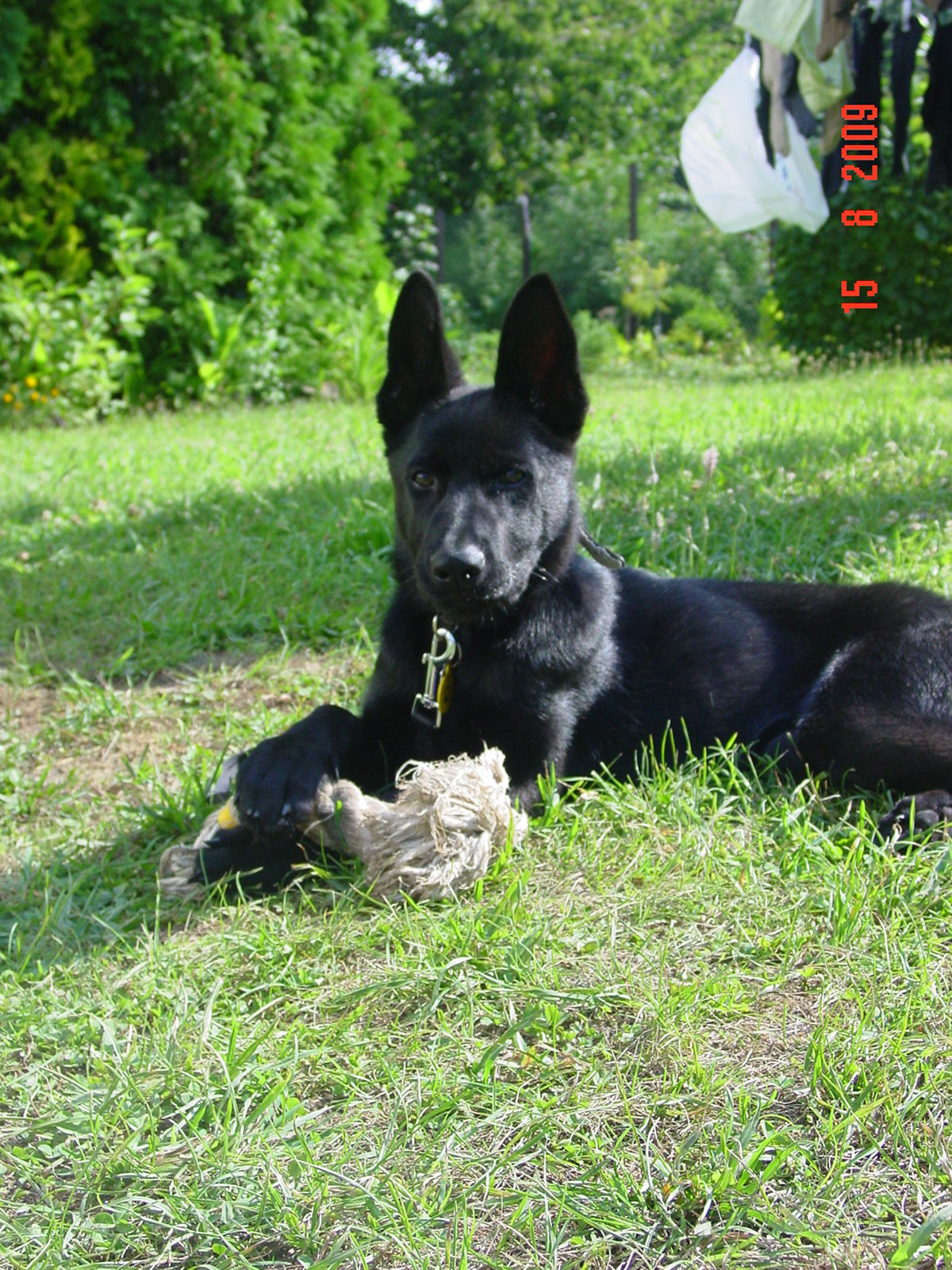 DSC07513.JPG